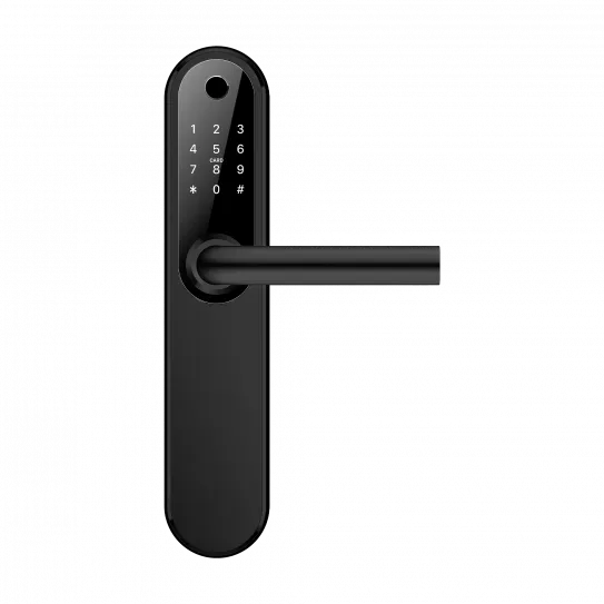 Smart Plus BLACK - умный замок для отелей и офисов