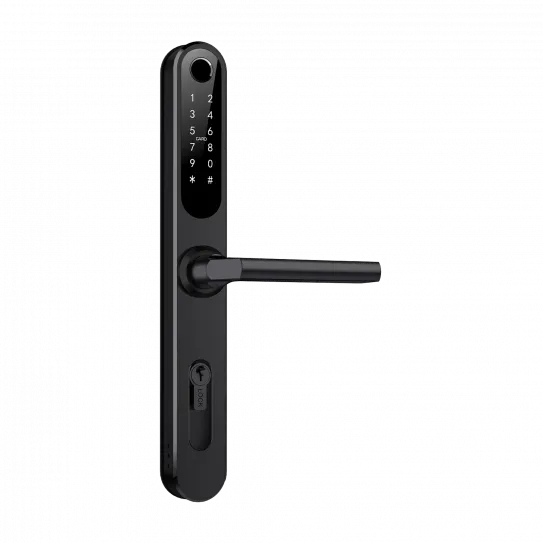 Home Slim BLACK - умный замок для аппартаментов и домохозяйств